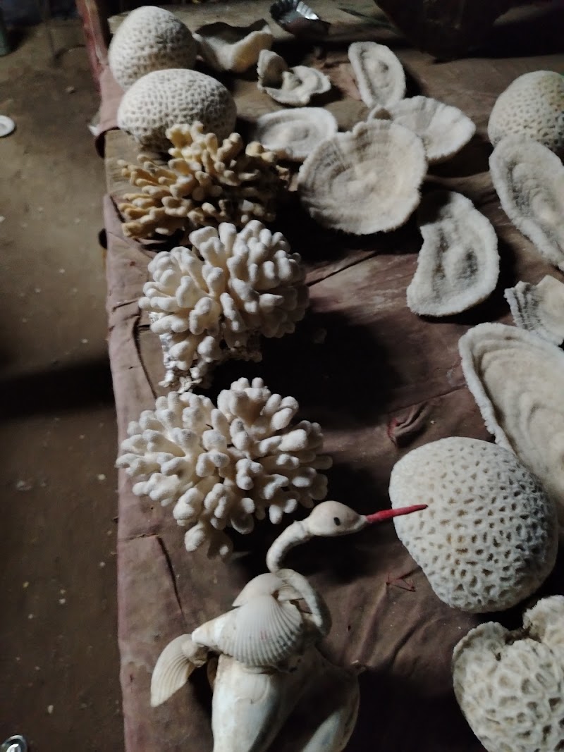 مدينه بورتسودان 4