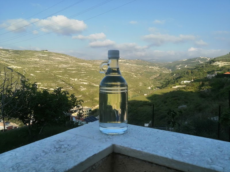 بيت شباب صيدا