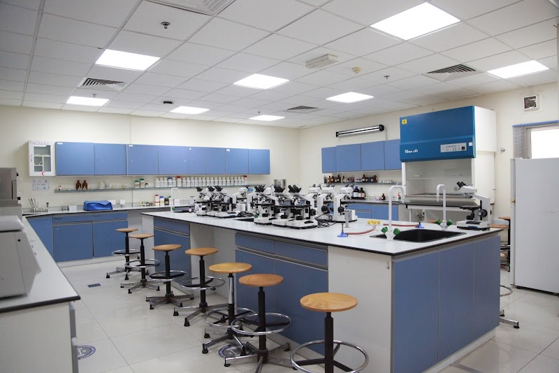 جامعة الفجيرة 2