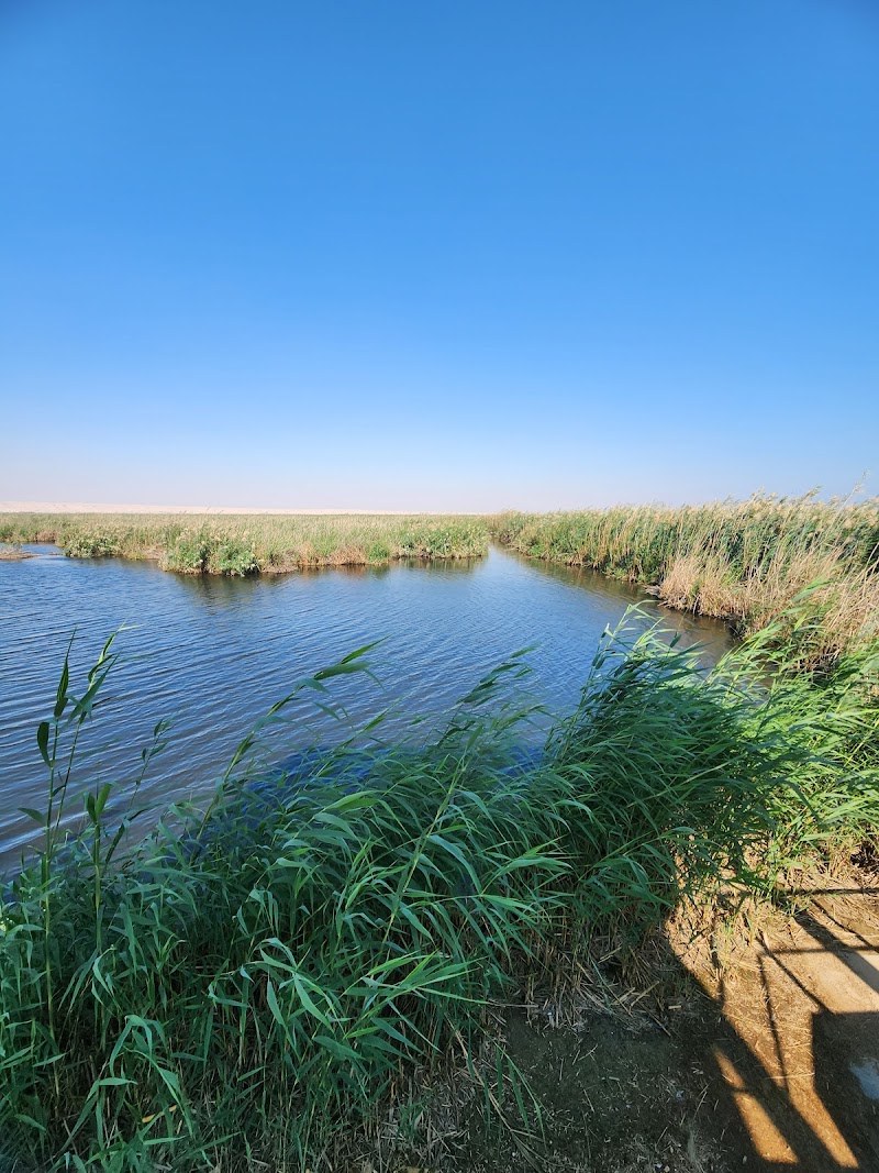 محمية الجهراء الطبيعية