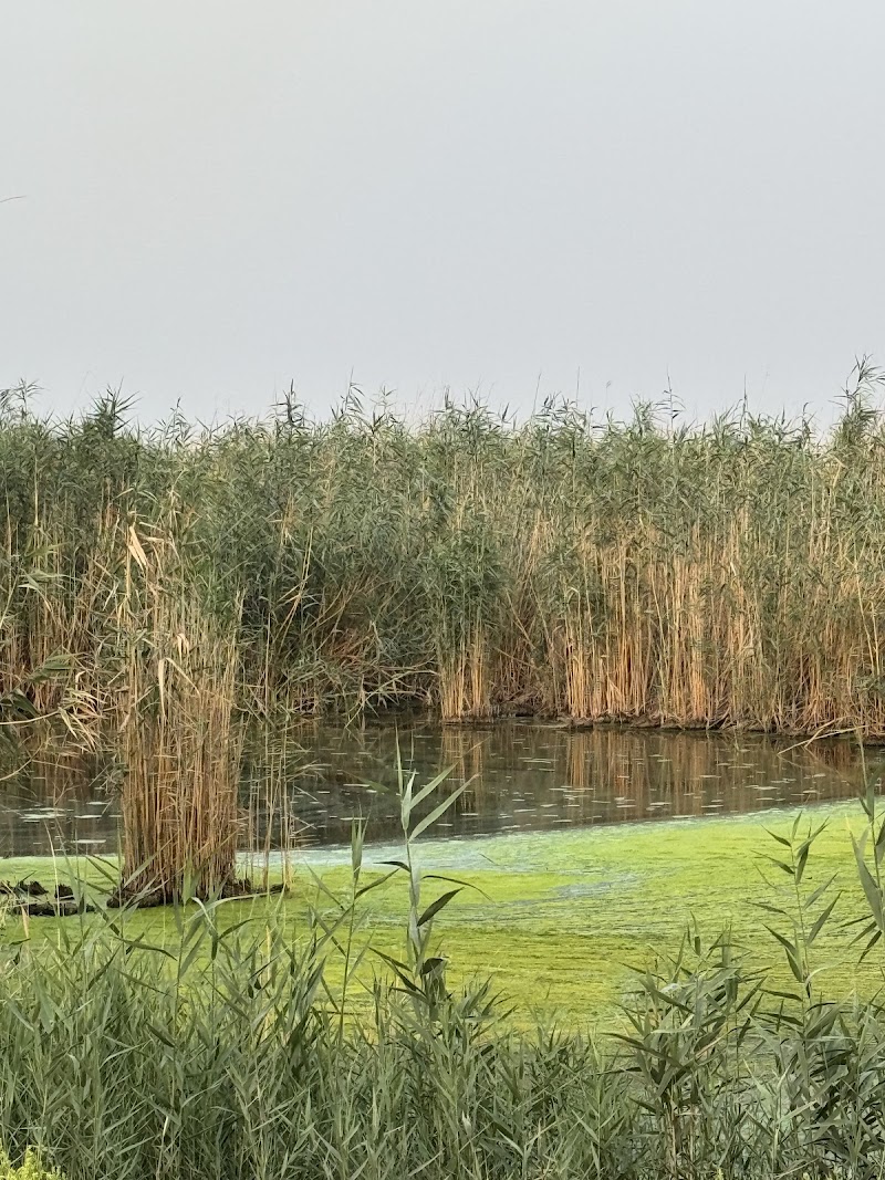 محمية الجهراء الطبيعية 2