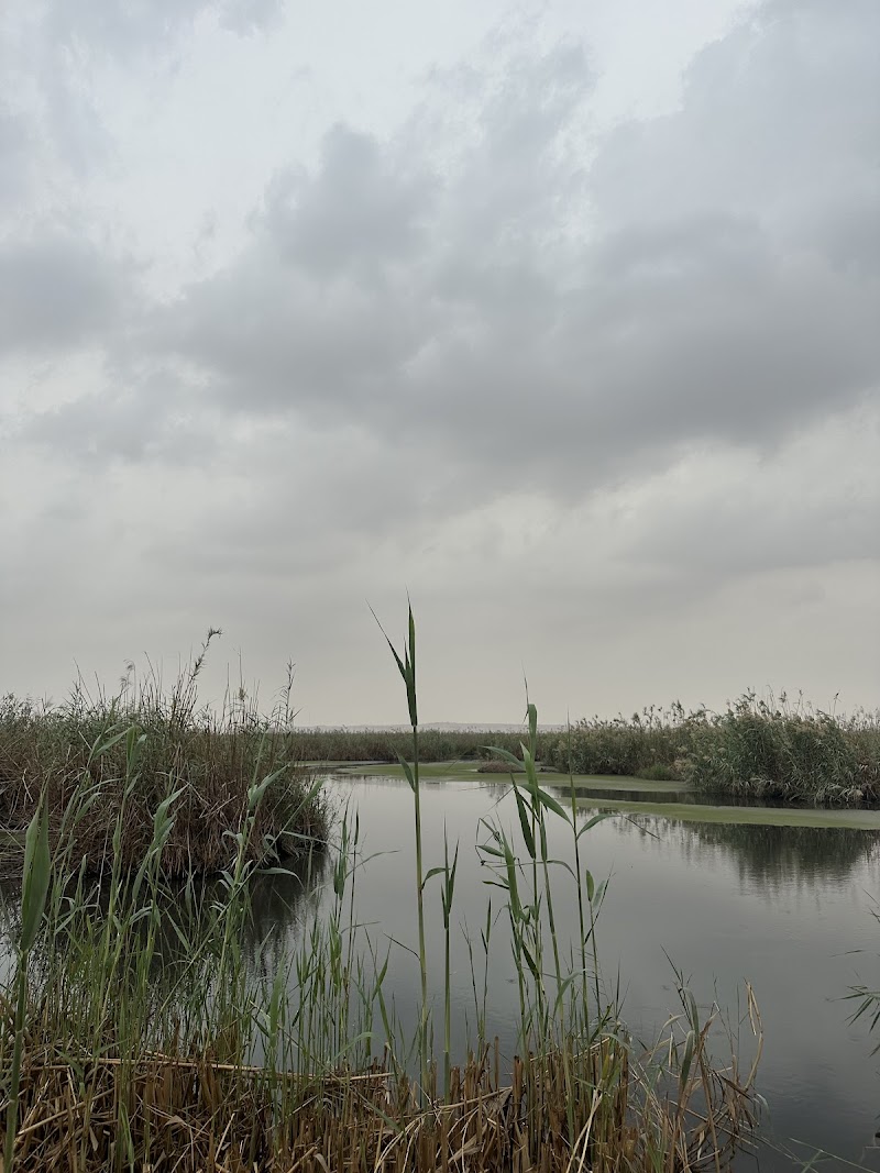 محمية الجهراء الطبيعية 3