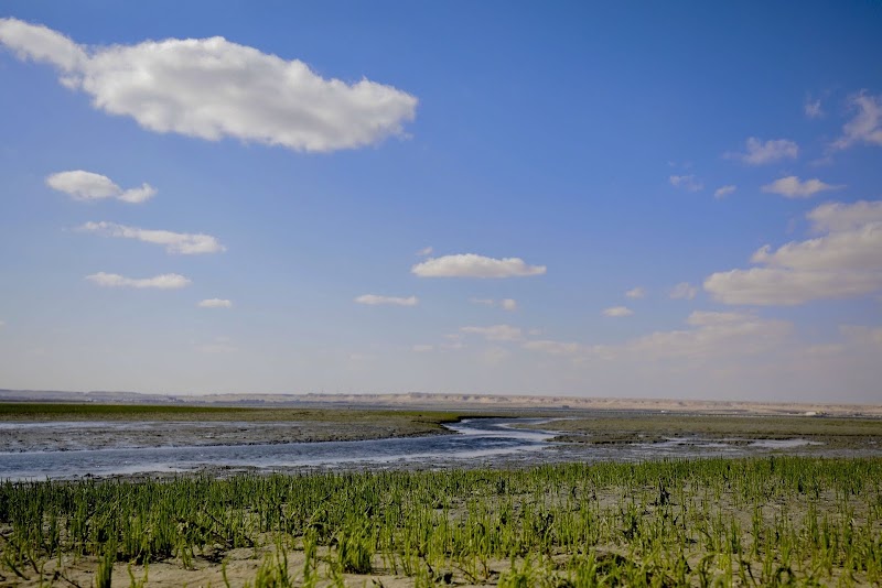 محمية الجهراء الطبيعية 4