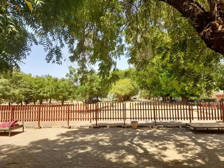 جامعة الخرطوم - كلية التربية 4