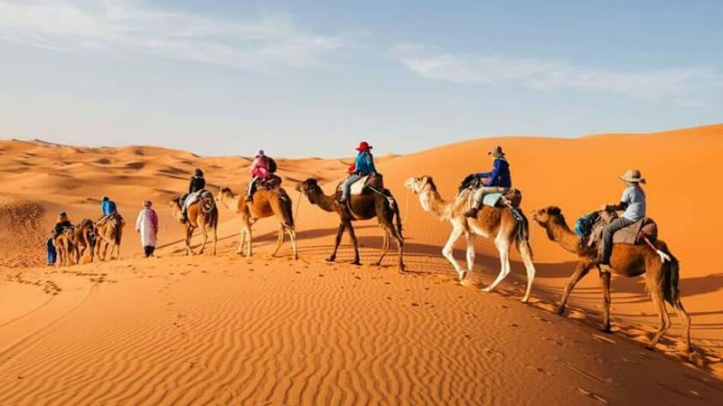 جولات فاس المغرب