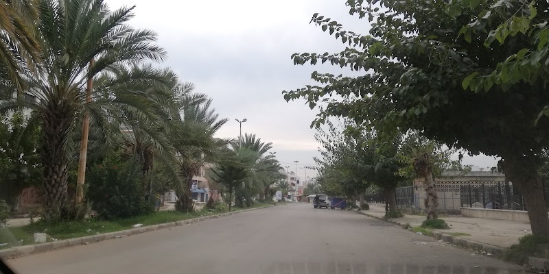 الشهيد مصطفى حيدر 4