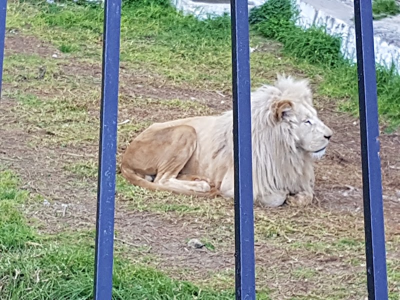 بن عكنون داتي attractions