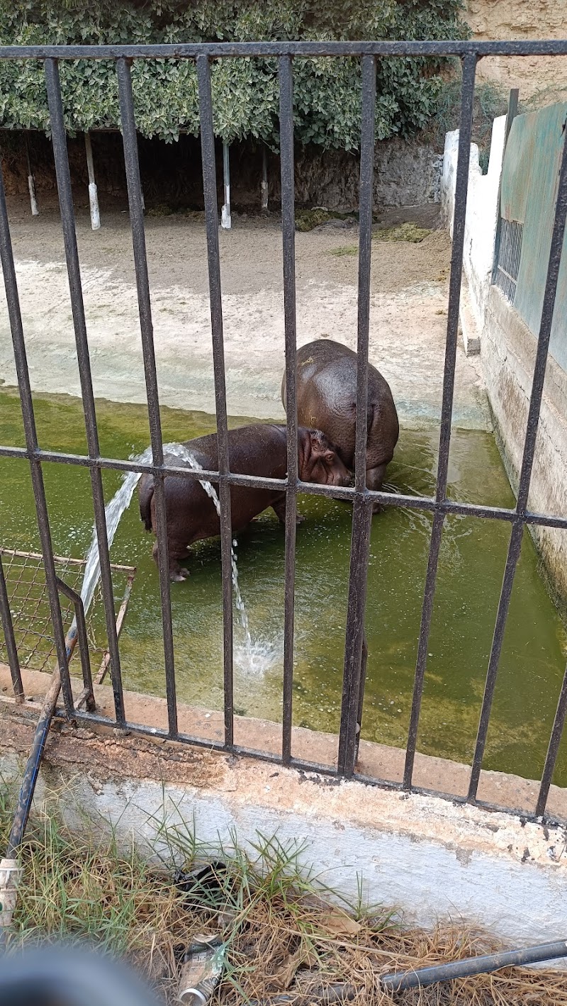 بن عكنون داتي attractions 3