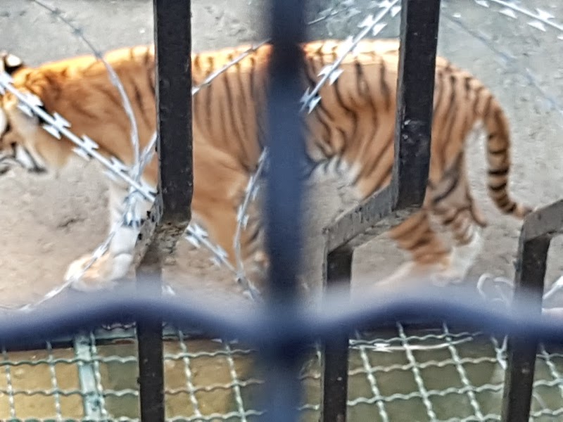 بن عكنون داتي attractions 4