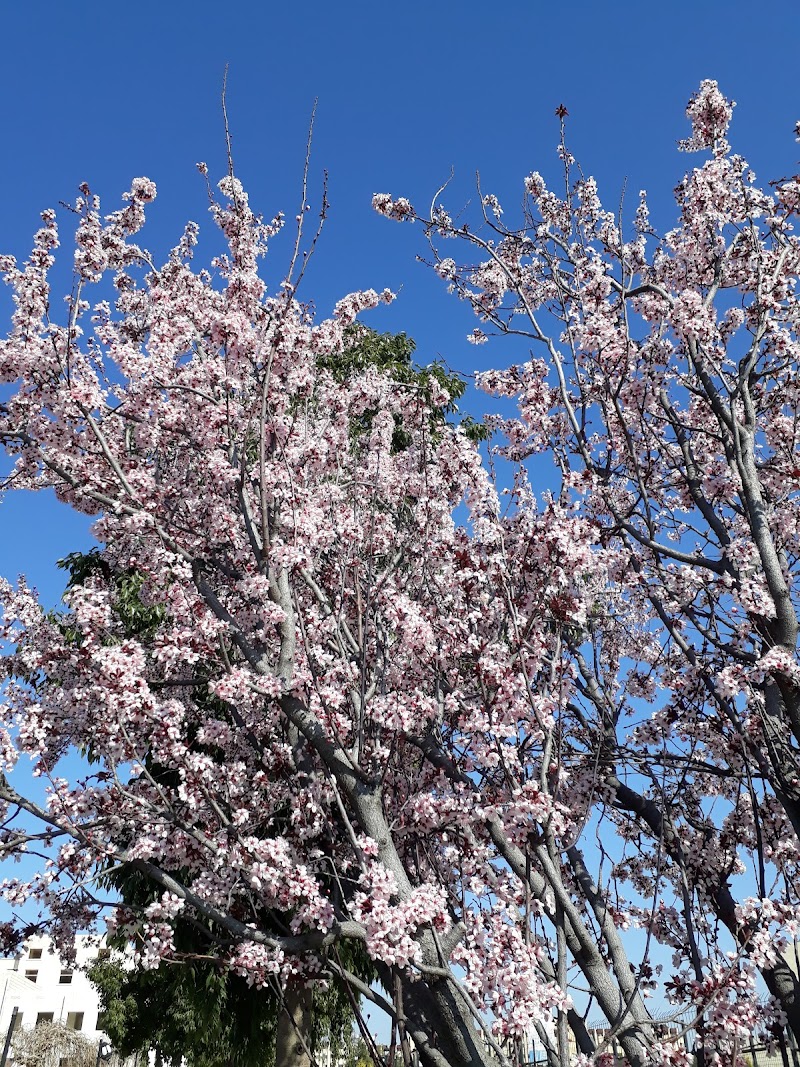 حديقة اصدقاء 2