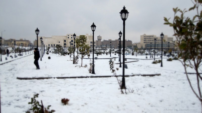 حديقة اصدقاء 3