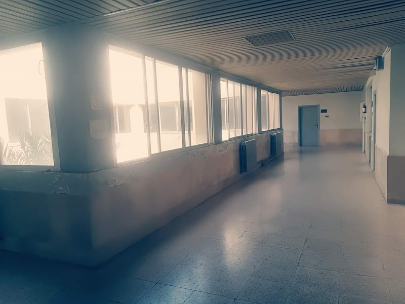 كلية الهندسة المعمارية 3