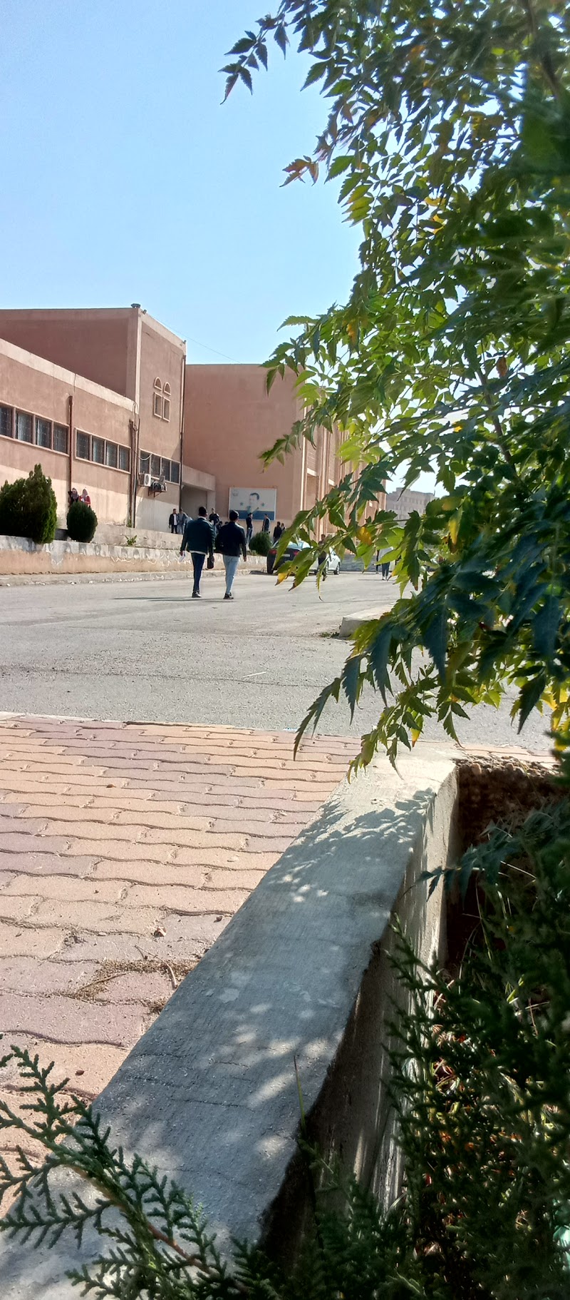 كلية الهندسة الميكانيكية والكهربائية