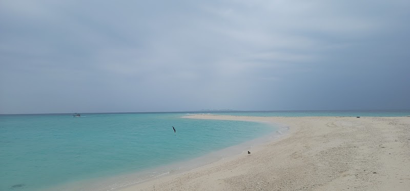 زيارة إريتريا