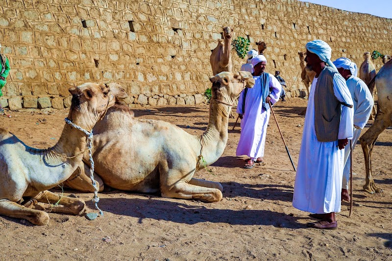 زيارة إريتريا 4