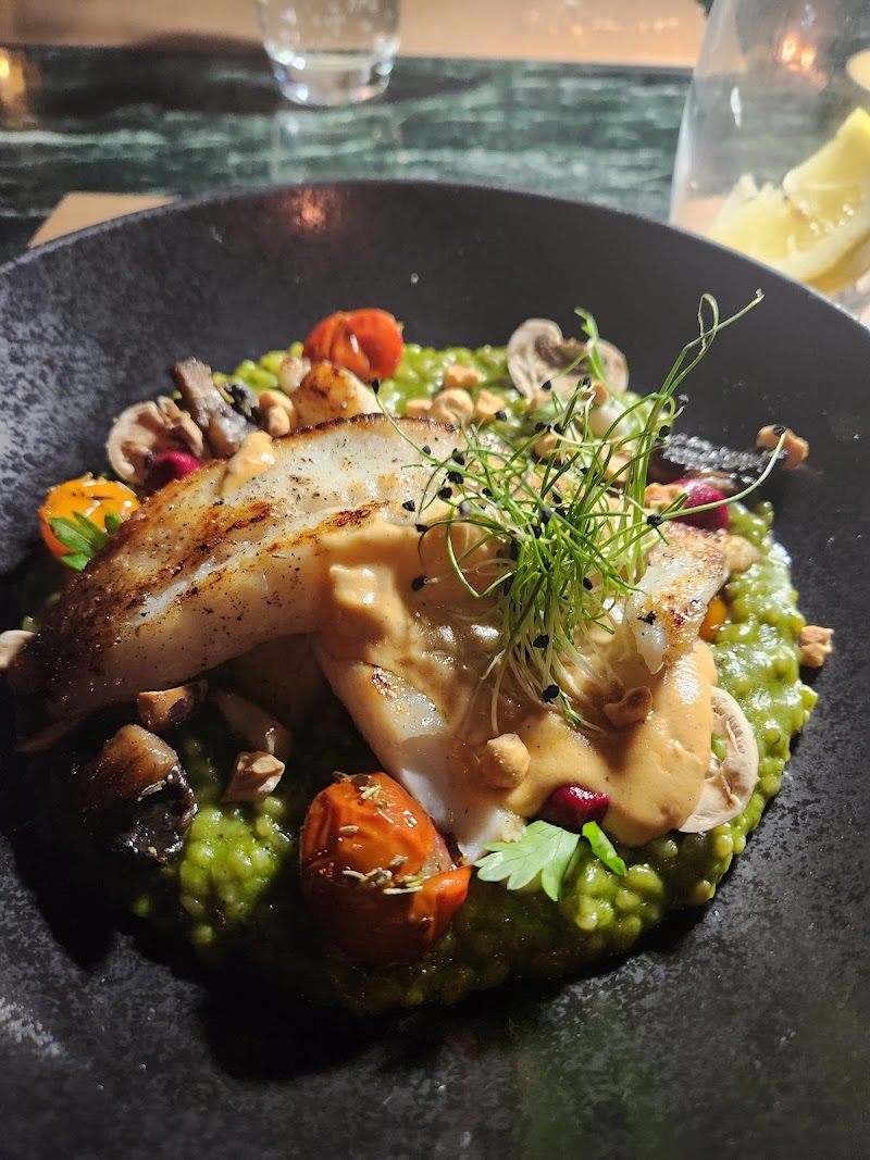 مطعم القرود 4