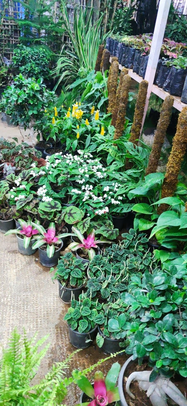 حديقة ابن الرشد