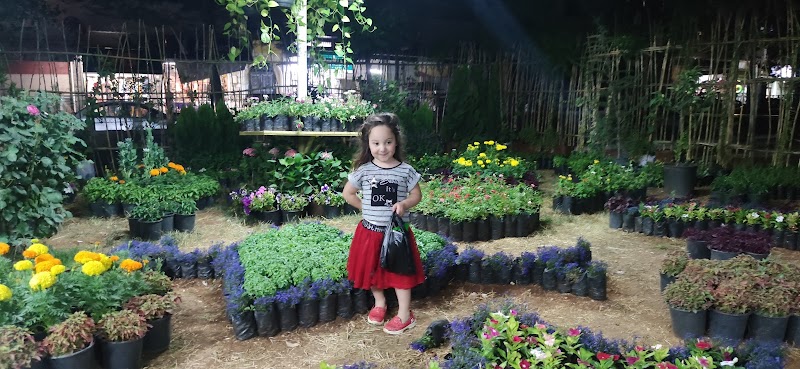 حديقة ابن الرشد 2