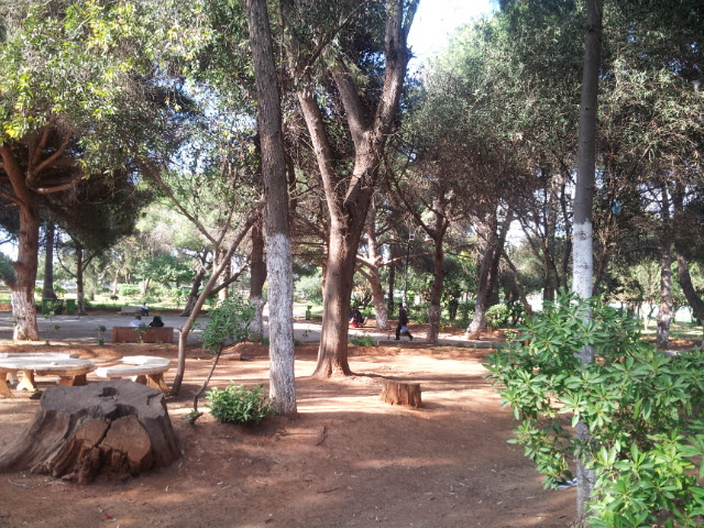 حديقة الحيوان العمومية المدينة الجديدة 3