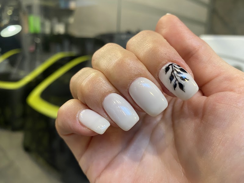 سبا يوفوريا