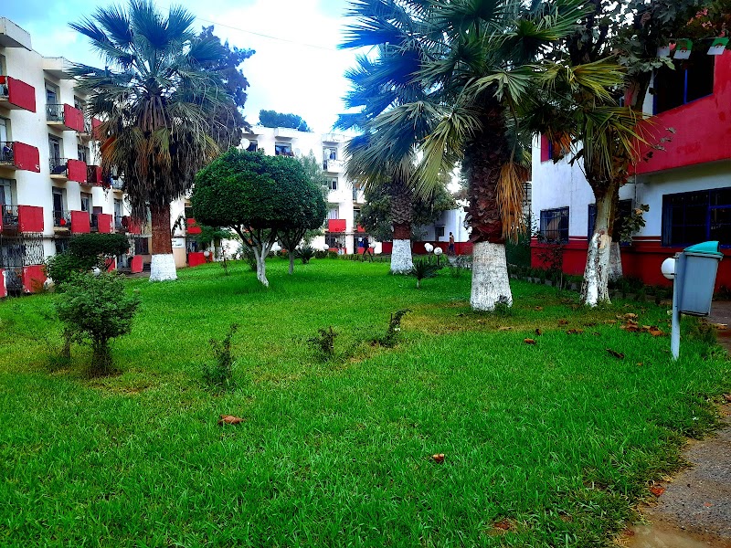 المدرسة الوطنية العليا للاشغال العمومية