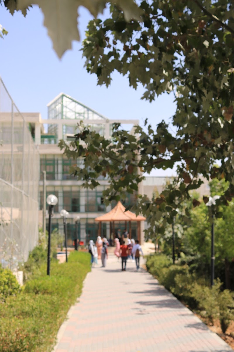 كلية المهن التطبيقية 8