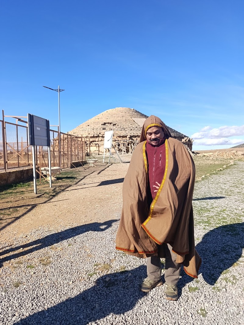 خدمات السفر فانسيلو 2