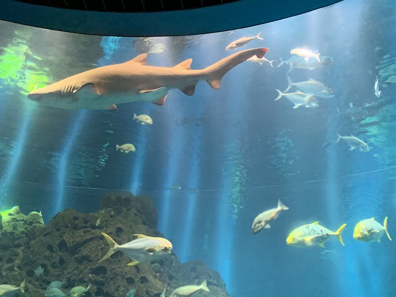 المركز العلمي 3