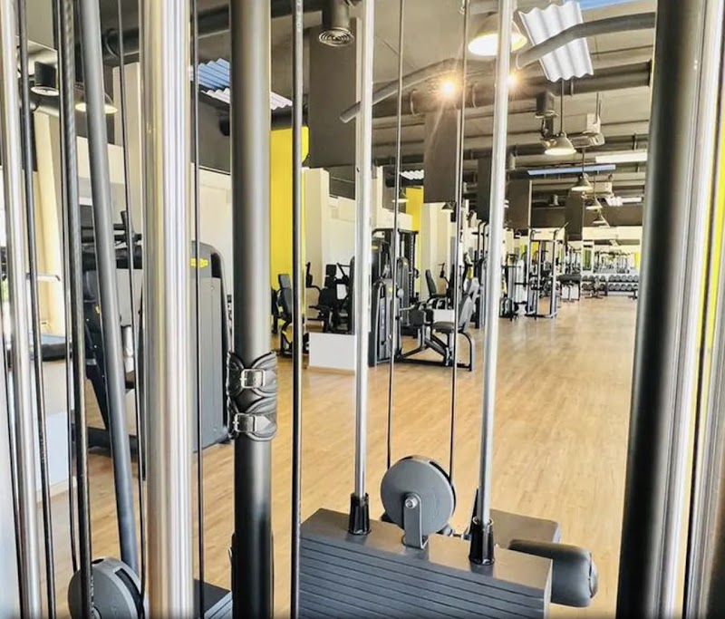 جيم ماراتوس 3