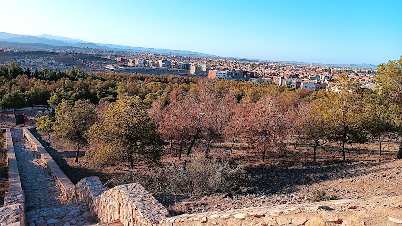 منتزه وجدة 4