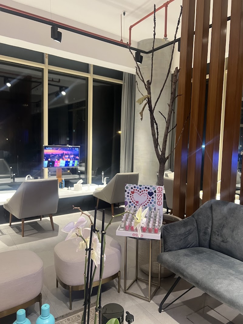 سبا الجمال الرمادي