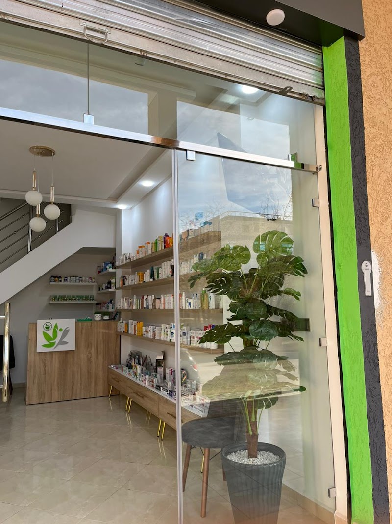 إلينا بارا 4