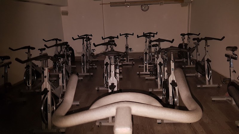 جيم فولونتي 3