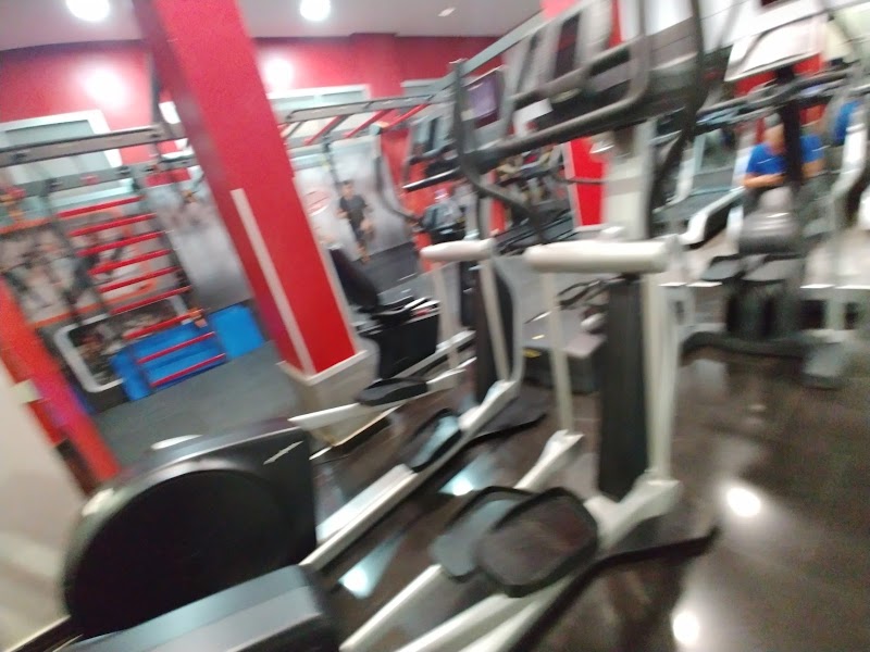 جيم فولونتي 4