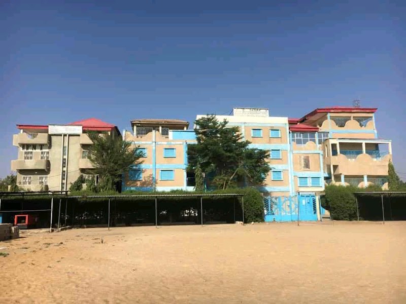 جامعة تومائي