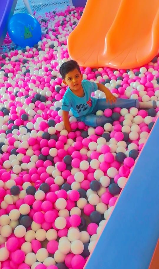 أرض فيغو إربد 4