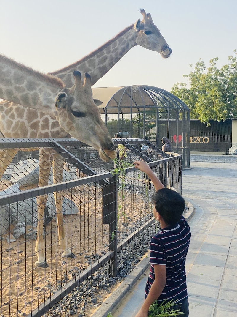 حديقة حيوانات ام القيوين 3