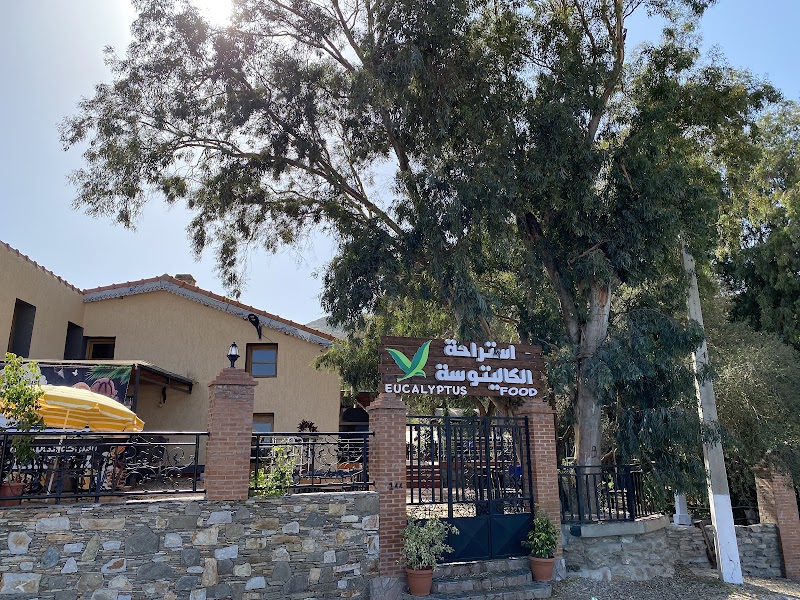 الأوكاليبتوس 4