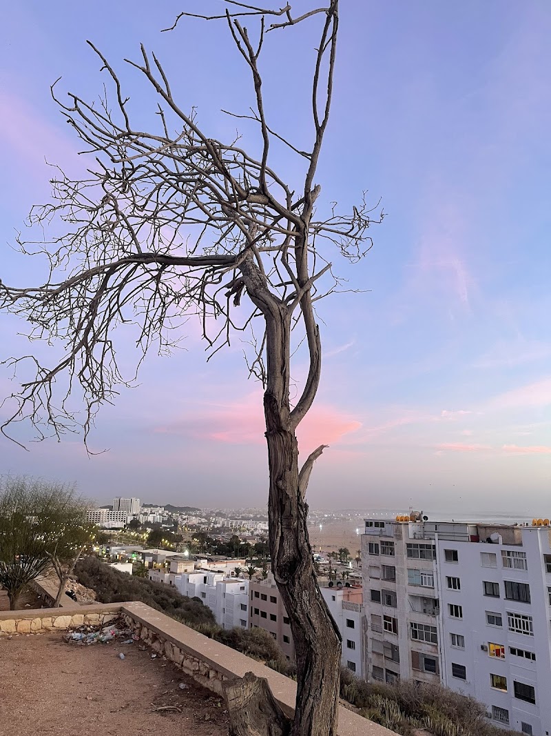 حديقة إكتّاين