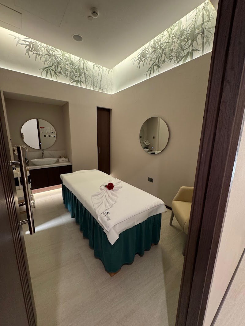 اتصال يين يانغ بلاتينيوم سبا أبوظبي 2