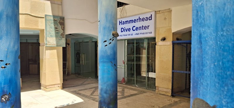 مركز هامر هيد للغوص العقبة