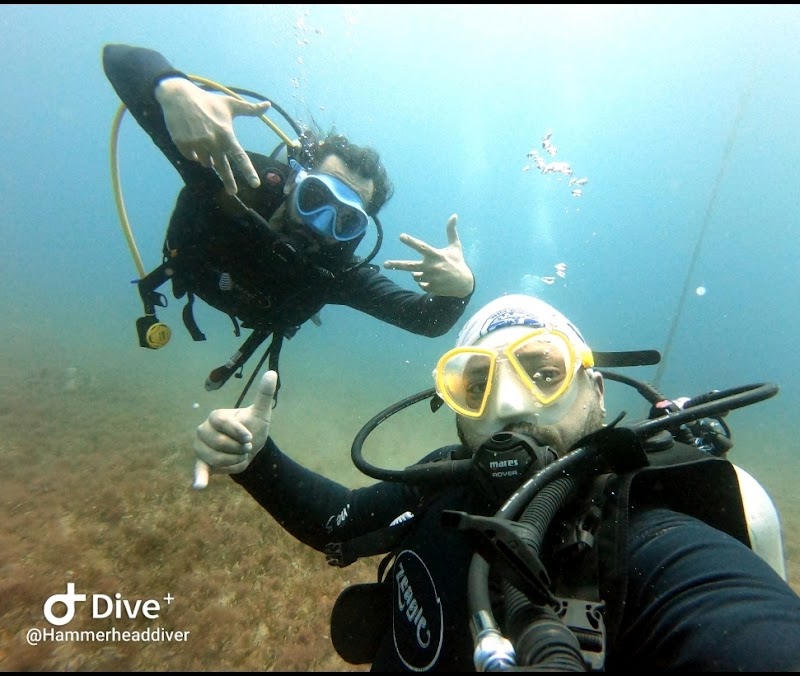 مركز هامر هيد للغوص العقبة 3