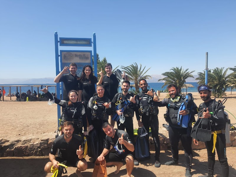 مركز هامر هيد للغوص العقبة 4