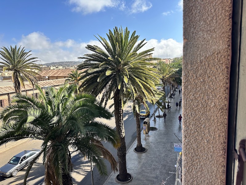 نيابة بيزا 4