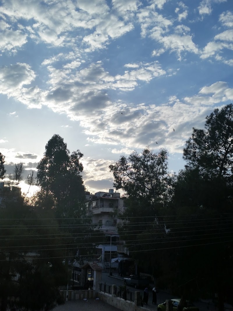 حديقة الرازي 4