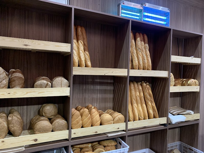 معجنات حي محمدي