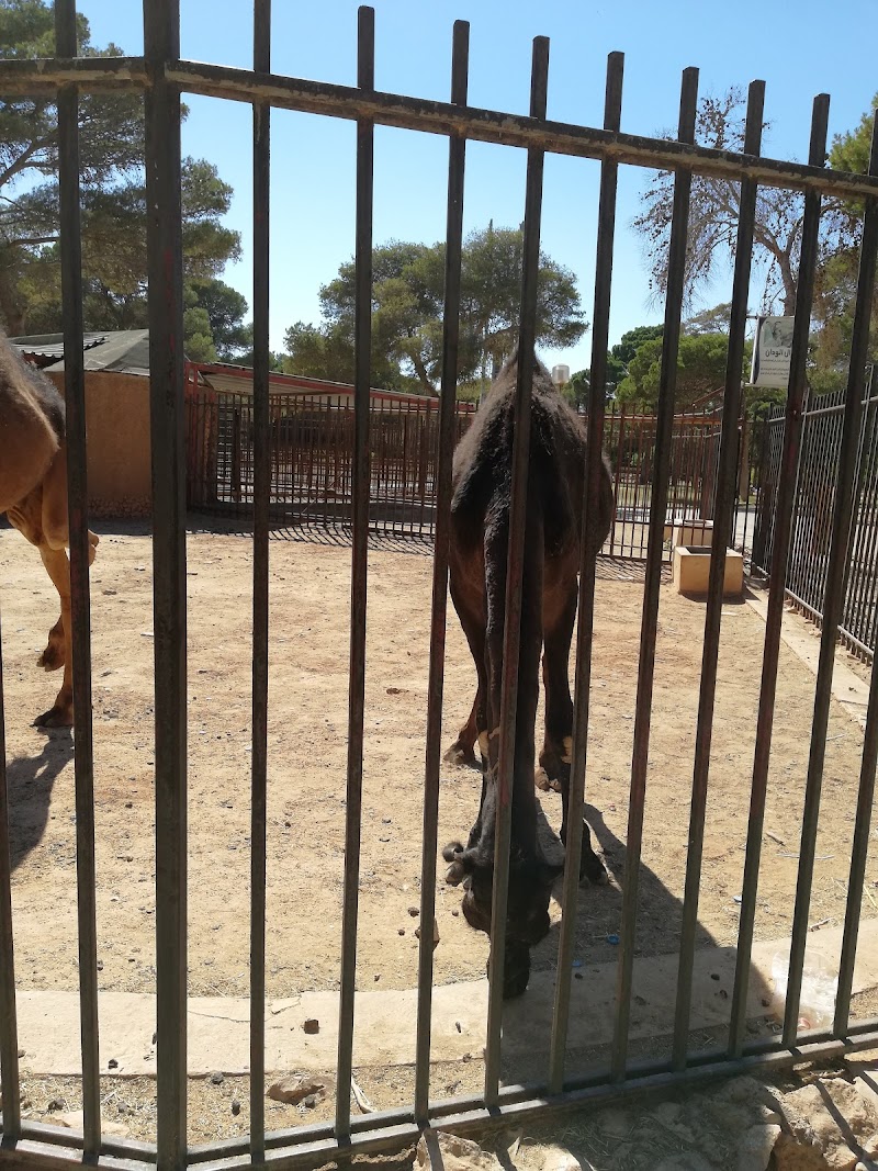 منتزه بنغازي (البوسكو) 3