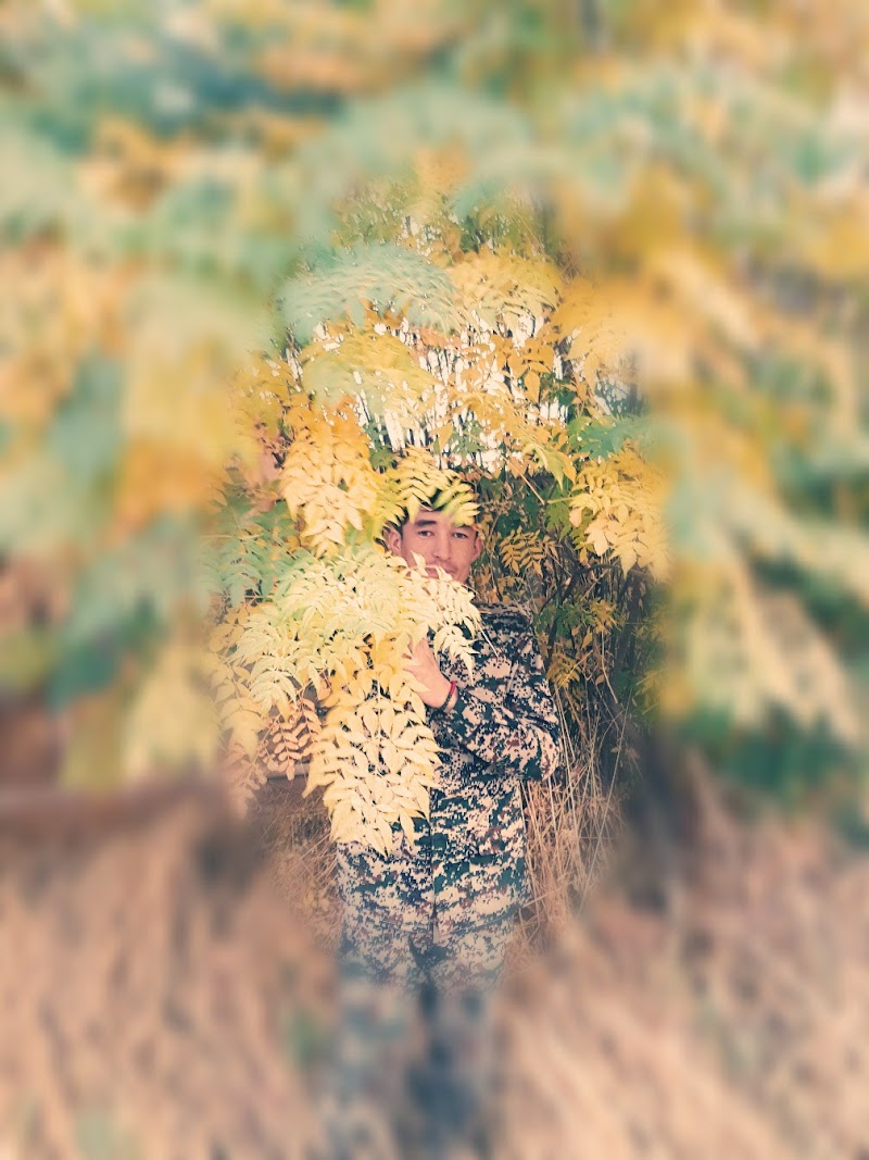 مطعم القلعة