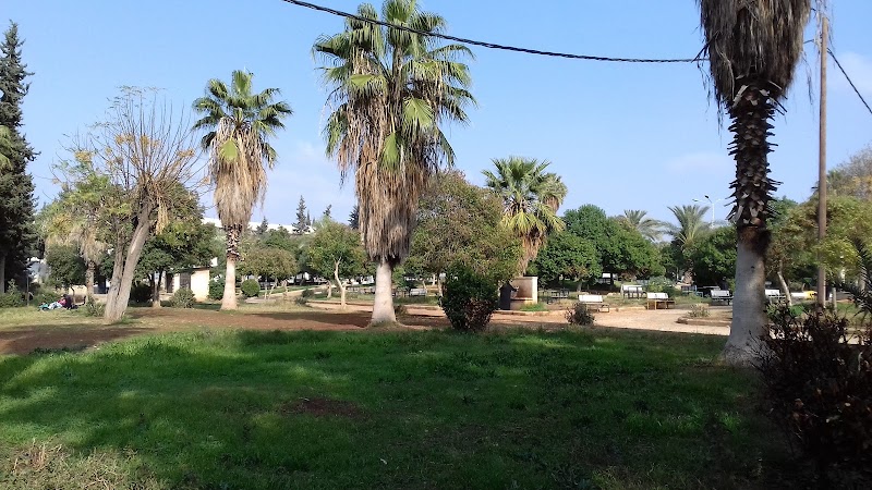 حديقة الكندي