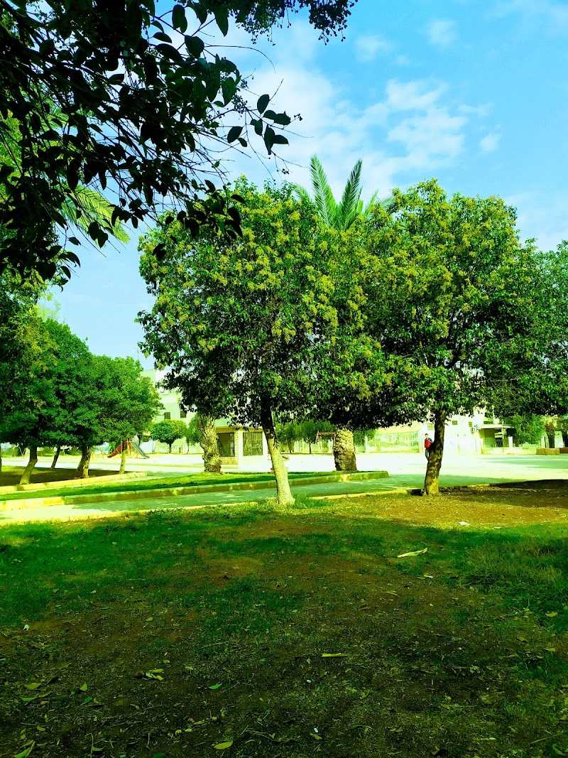 حديقة الكندي 2